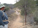 photo thumbnail #3