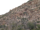 photo thumbnail #10