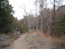 photo thumbnail #11