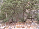 photo thumbnail #12