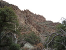 photo thumbnail #13