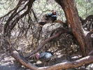 photo thumbnail #7