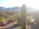 photo thumbnail #1