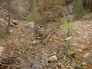 photo thumbnail #10