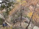 photo thumbnail #6