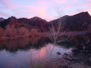 photo of comment