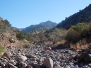 photo thumbnail #7
