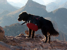 photo thumbnail #6