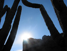 photo thumbnail #7