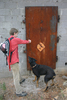photo thumbnail #5