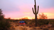 photo thumbnail #9
