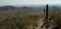 photo thumbnail #2