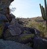 photo thumbnail #4