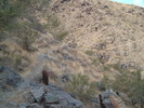 photo thumbnail #11