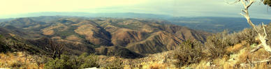 photo thumbnail #2