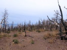 photo thumbnail #5