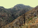 photo thumbnail #6