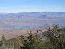 photo thumbnail #1