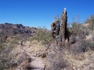 photo thumbnail #3