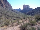 photo thumbnail #4