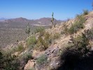 photo thumbnail #4