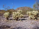 photo thumbnail #7