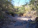 photo thumbnail #9