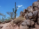 photo thumbnail #1