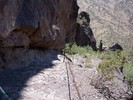 photo thumbnail #8