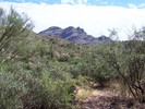 photo thumbnail #11