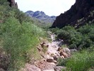 photo thumbnail #12