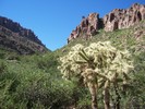 photo thumbnail #14