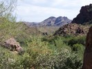 photo thumbnail #15