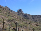 photo thumbnail #1