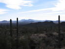 photo thumbnail #7
