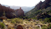 photo thumbnail #1