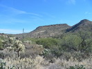 photo thumbnail #9