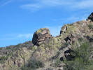 photo thumbnail #14