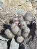 photo thumbnail #7
