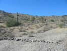 photo thumbnail #12