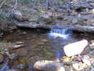 photo of comment