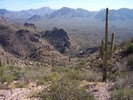 photo thumbnail #8
