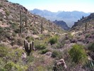 photo thumbnail #9