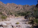 photo thumbnail #15