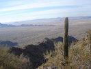 photo thumbnail #1