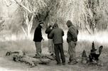 photo thumbnail #3