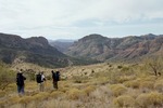 photo thumbnail #4