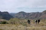 photo thumbnail #7