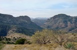 photo thumbnail #8