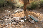 recent photo